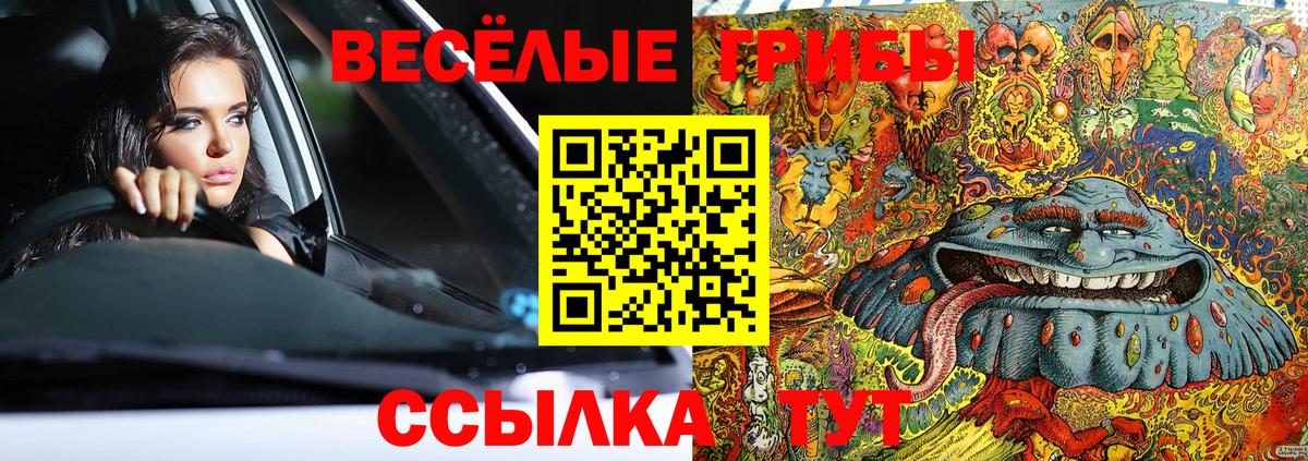 Галлюциногенные грибы мухоморы Майский